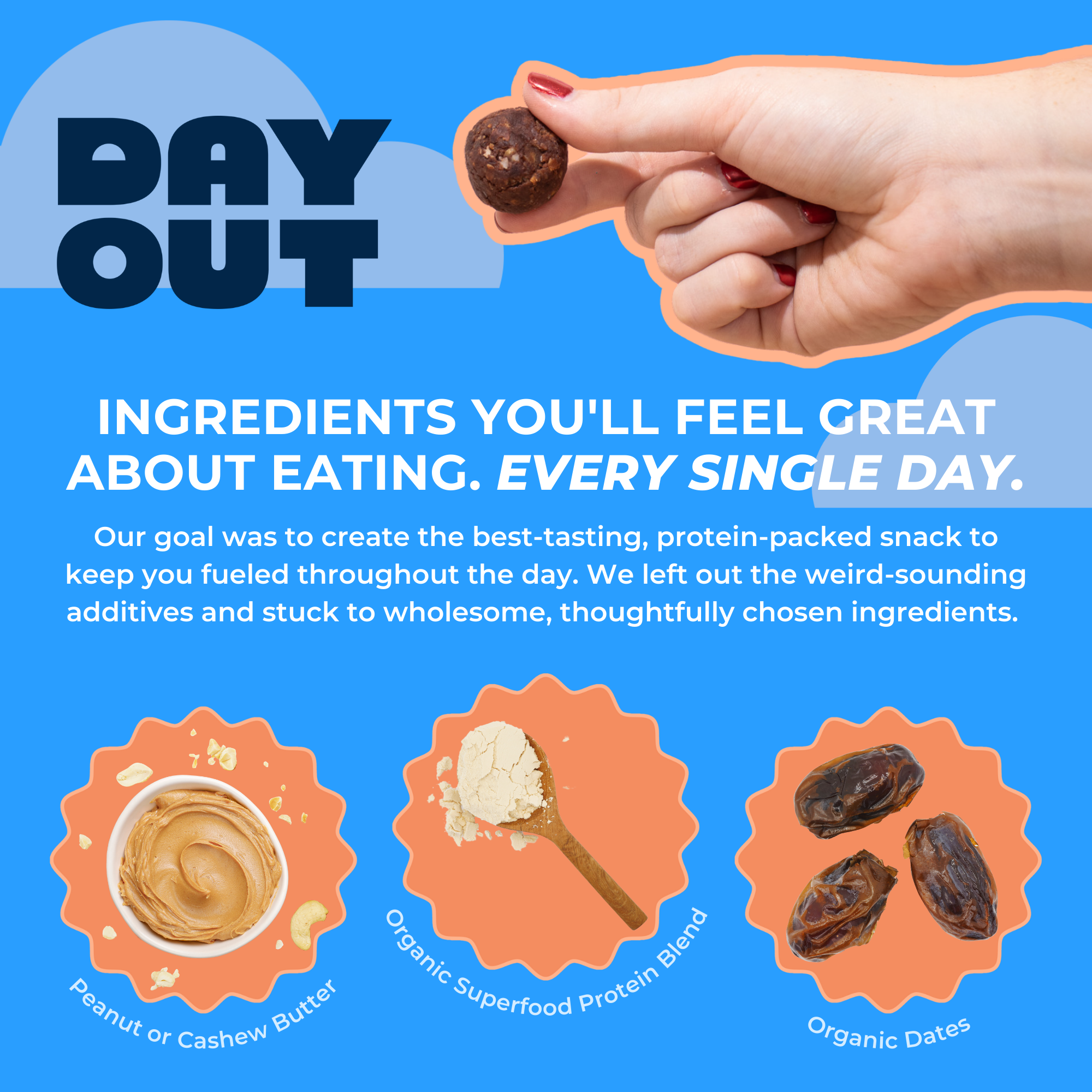 Day Out Brownie Batter Protein Balls