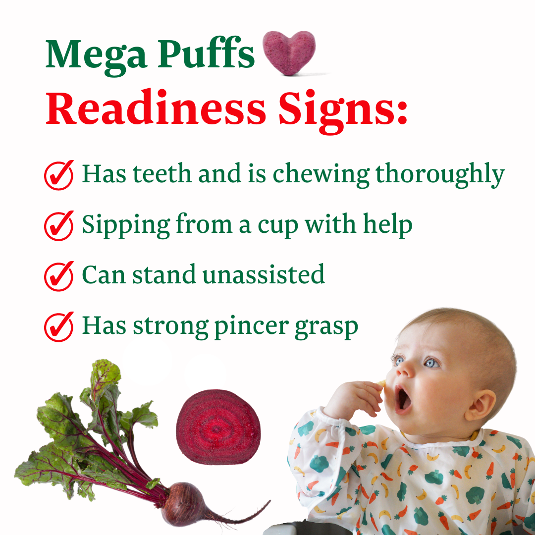 FoodNerd Orange Mega Puffs