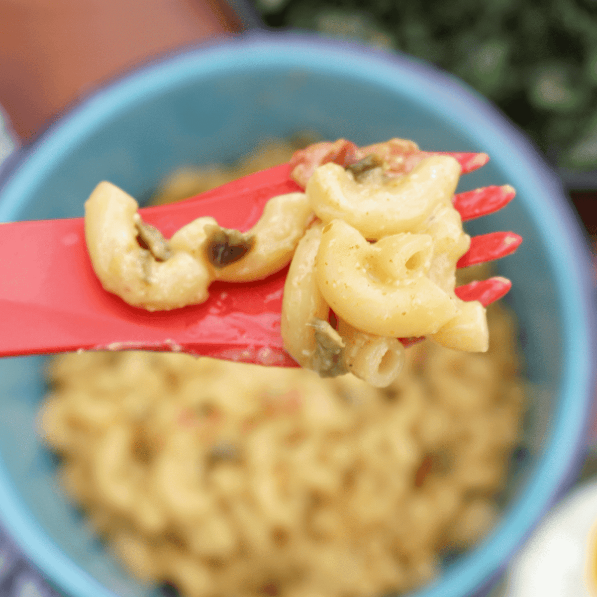 Hatch Green Chile Mac & Cheese