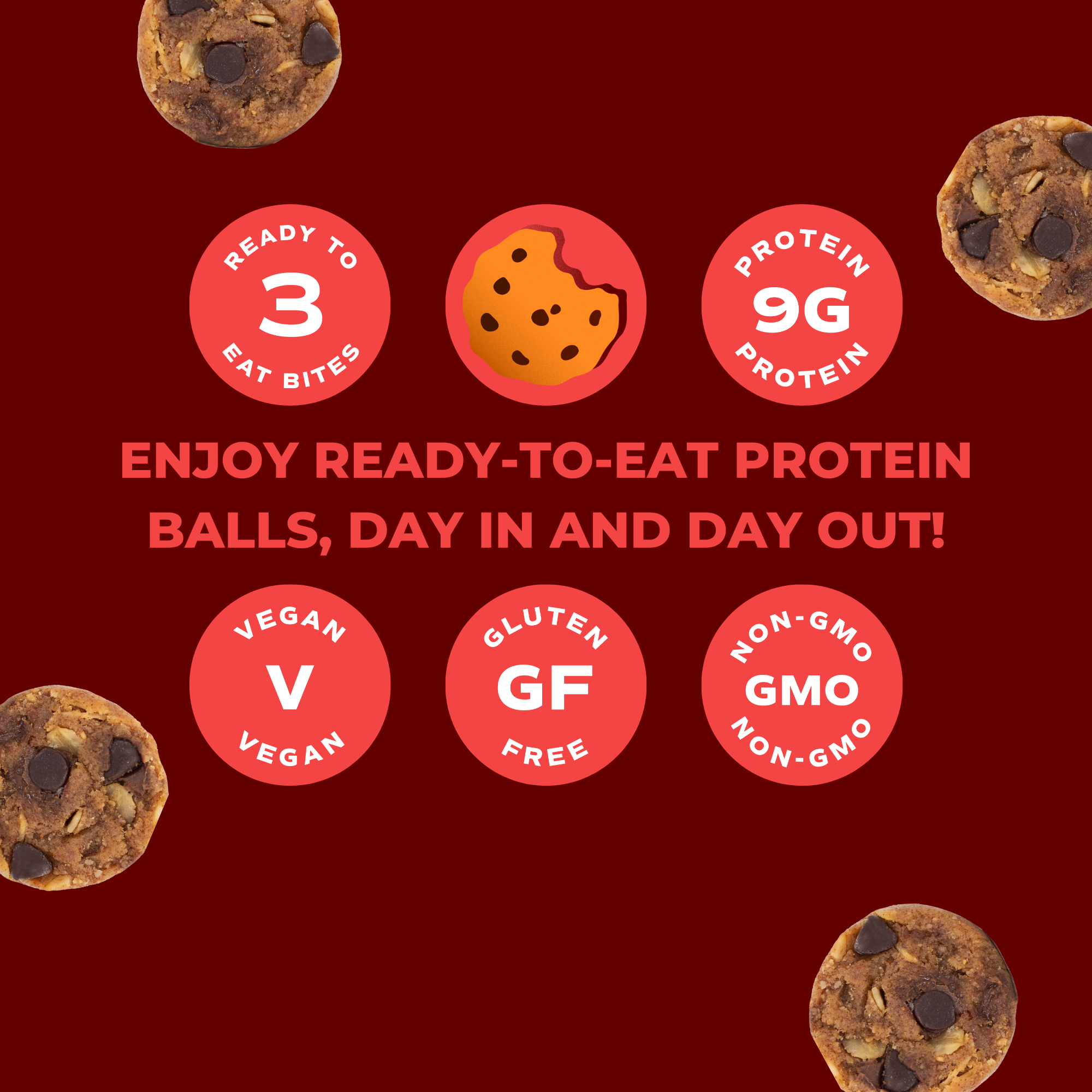 Day Out Cookie Dough Protein Balls