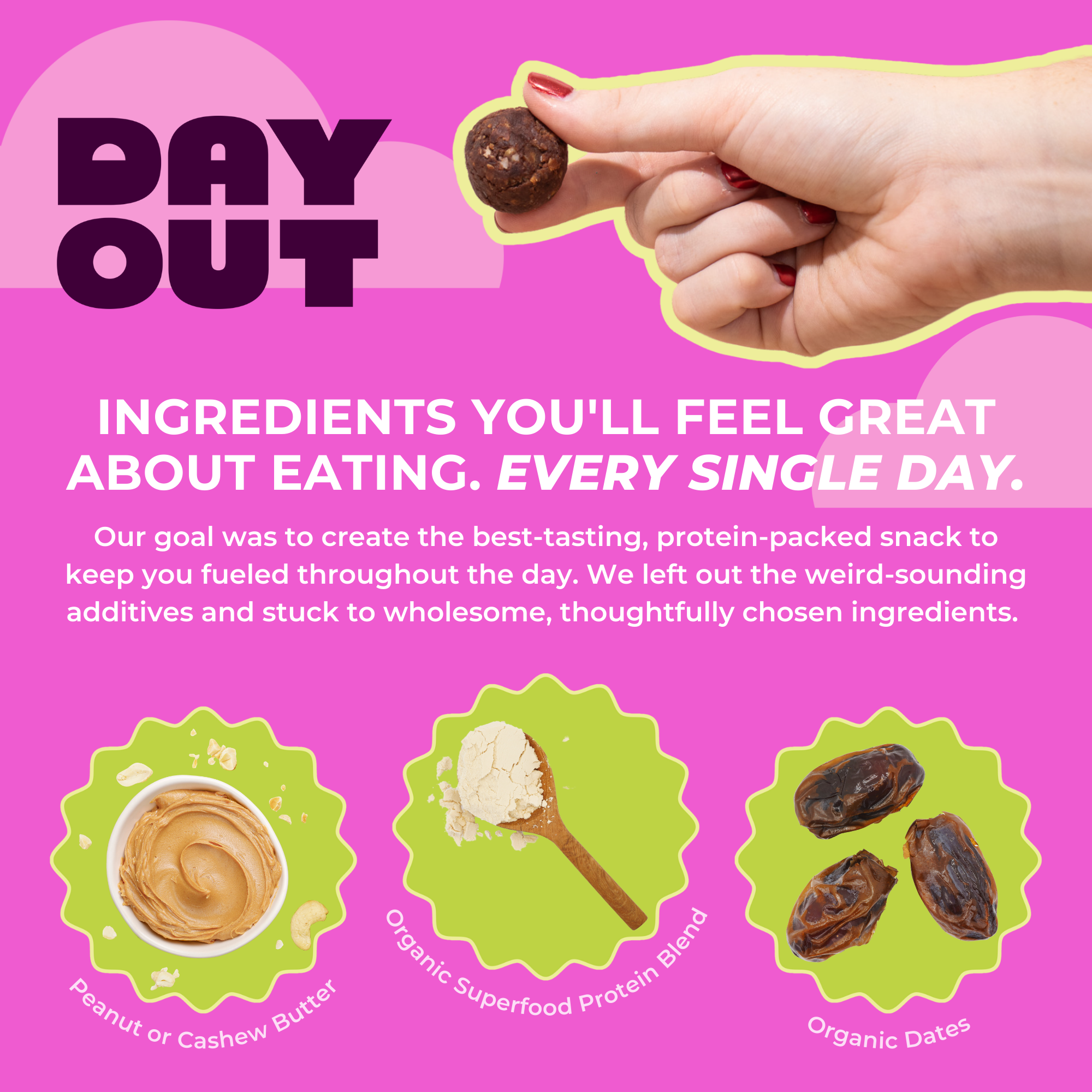 Day Out Cinnamon Bun Protein Balls