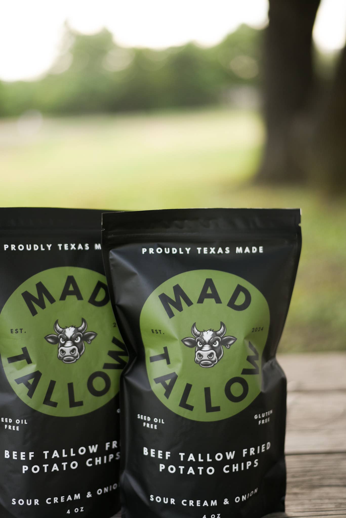Mad Tallow Space City Sour Cream & Onion Beef Tallow Chips