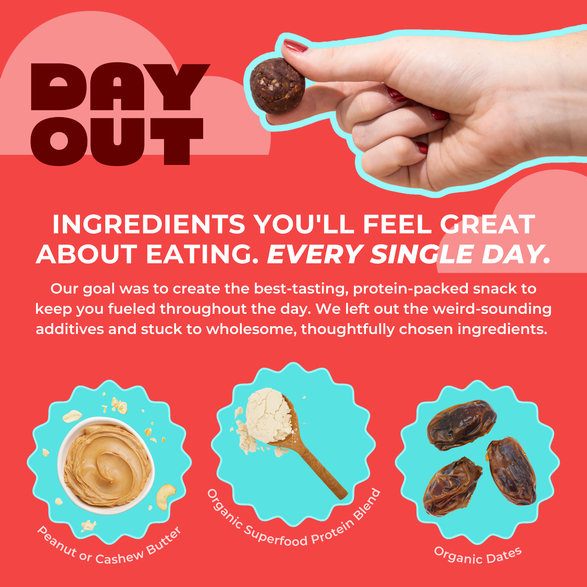 Day Out Cookie Dough Protein Balls